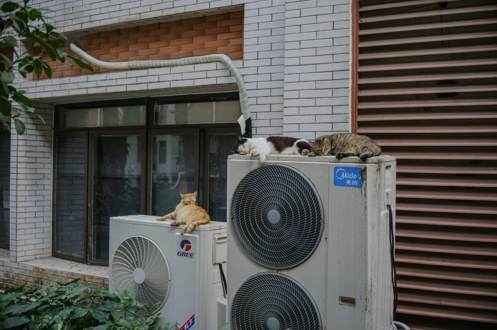 Cats relax on top of air conditioning units.